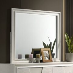 HOLSTED MIRROR